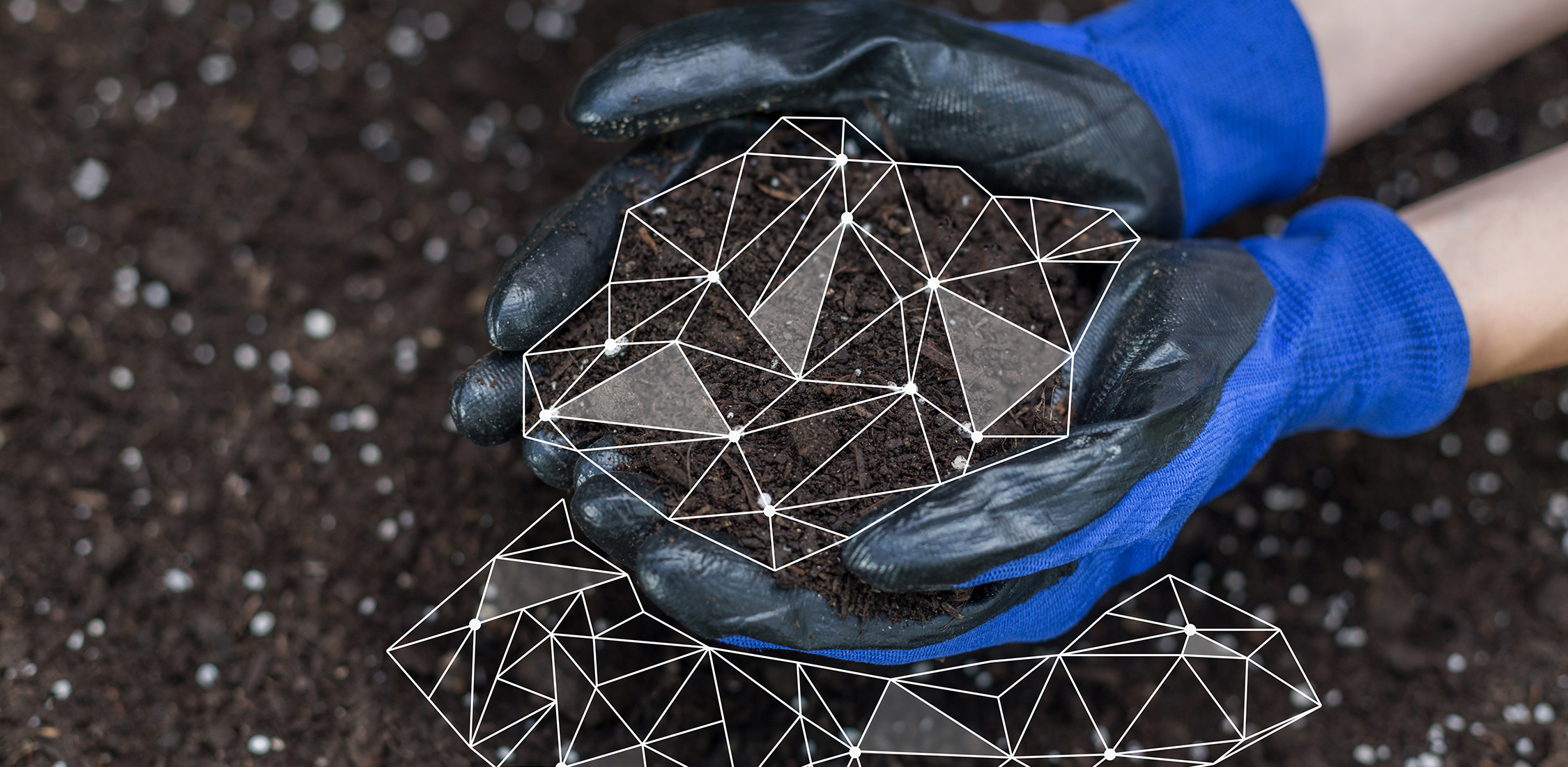 CALA Announces Sampling as a Stand-Alone Accreditation Program