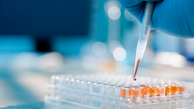 CALA continues its restructuring plans to conform to ISO/IEC 17011:2017