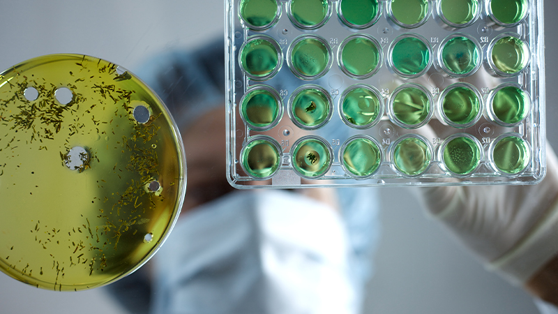 Risk in ISO/IEC 17025:2017 – New or Not